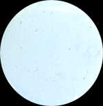 color 21